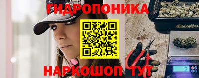 прущие грибы Гай