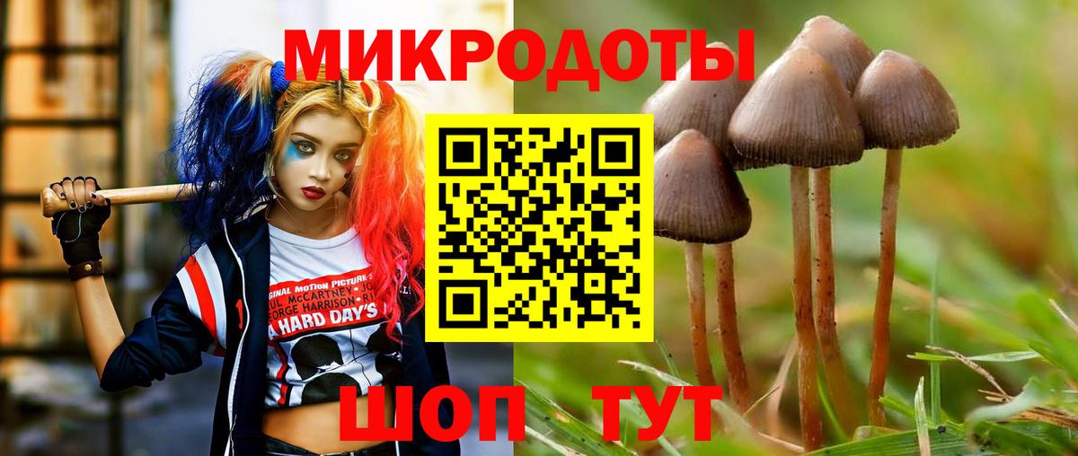 Галлюциногенные грибы Magic Shrooms  Вход с VPN  Галлюциногенные грибы Cubensis  Вышний Волочёк 